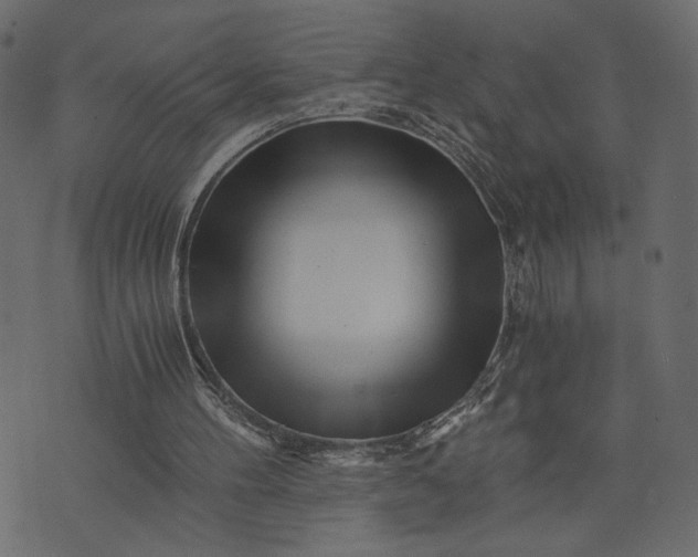 X0000073700100200608171123