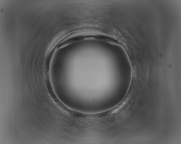 X0000073700101200608171123