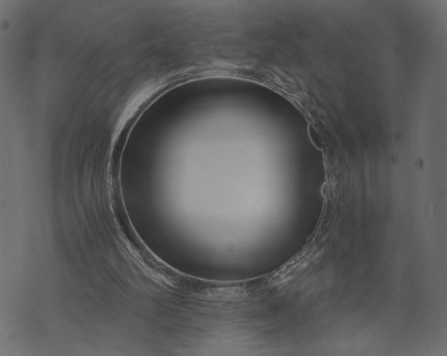 X0000073700102200608171123