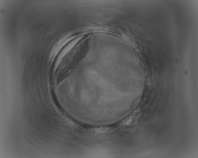 X0000073700103200608171123