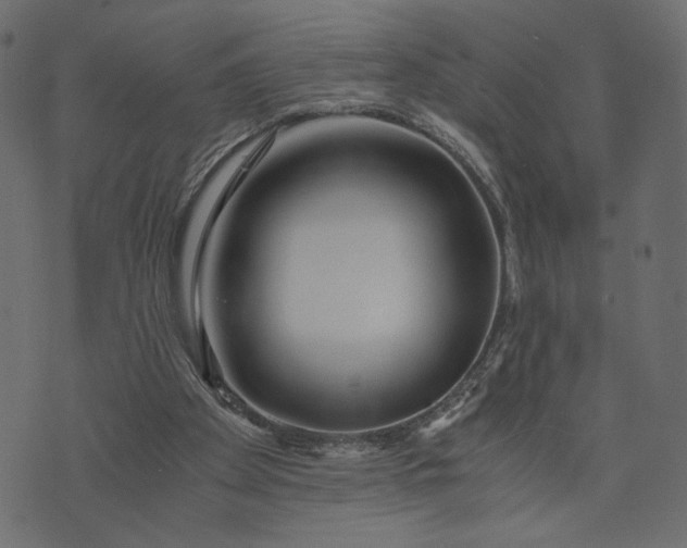 X0000073700105200608171123