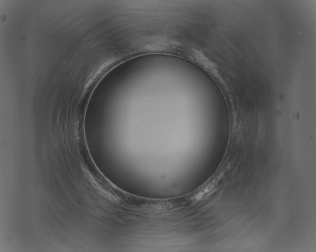 X0000073700106200608171123