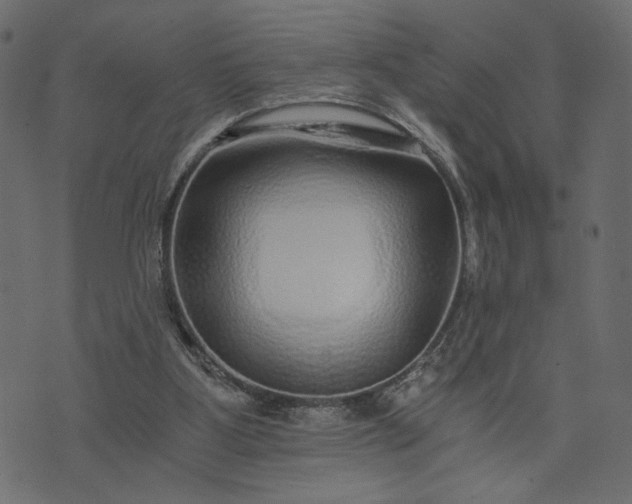 X0000073700107200608171123