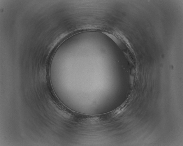 X0000073700108200608171123