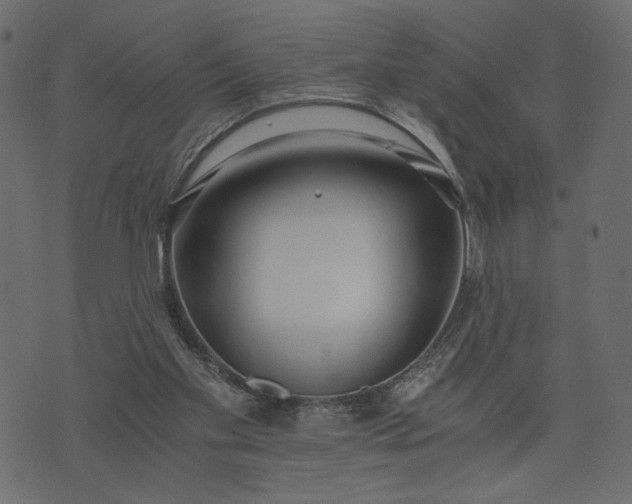 X0000073700109200608171123