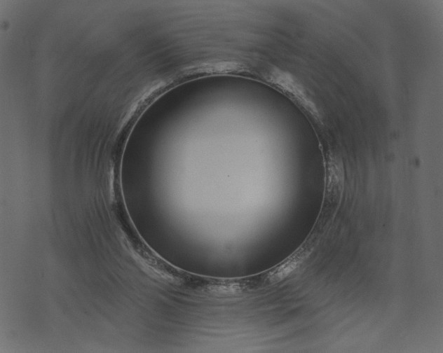 X0000073700110200608171123