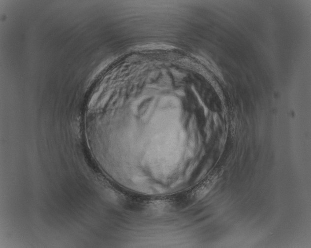 X0000073700111200608171123