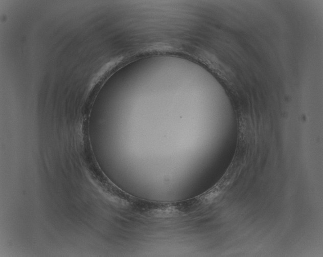 X0000073700112200608171123