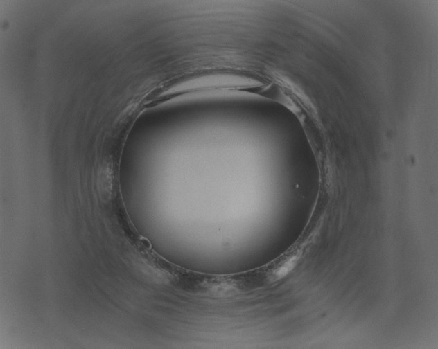 X0000073700113200608171123