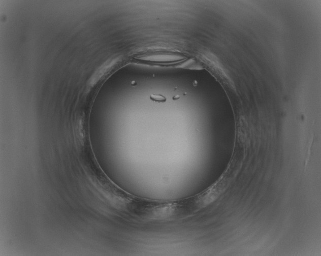 X0000073700116200608171123