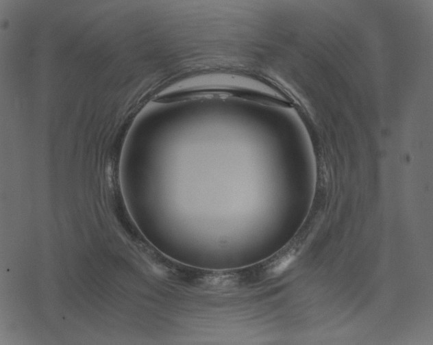 X0000073700117200608171123