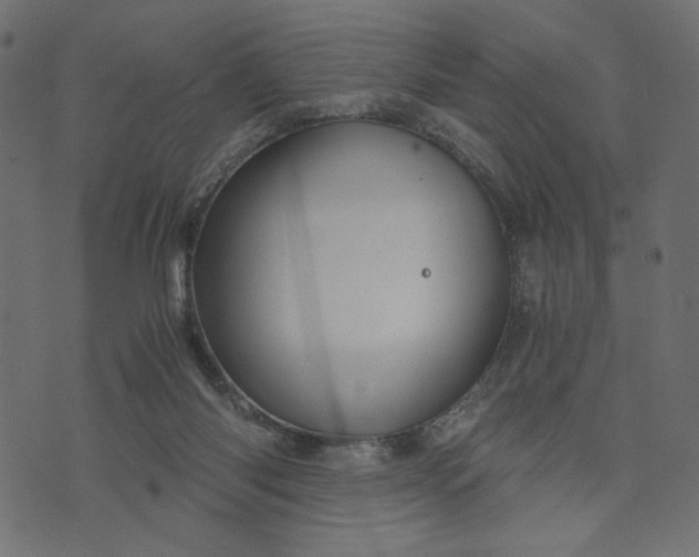 X0000073700118200608171123