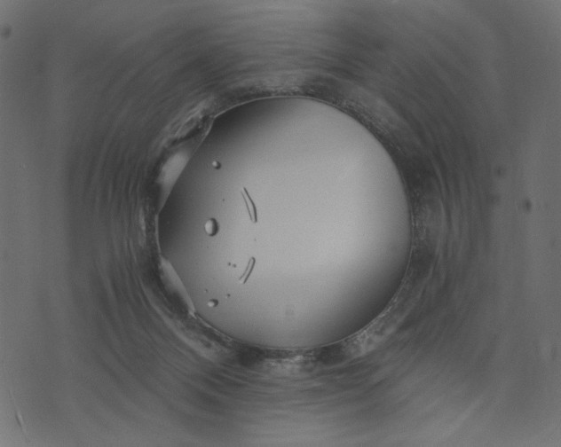 X0000073700120200608171123