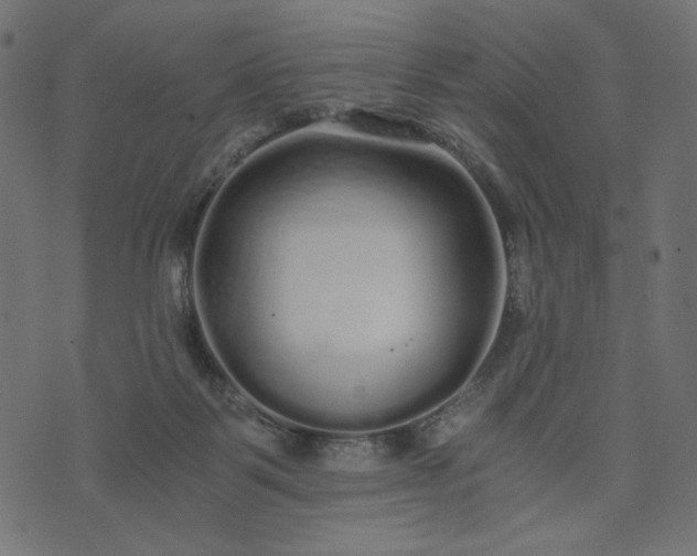 X0000073700123200608171123