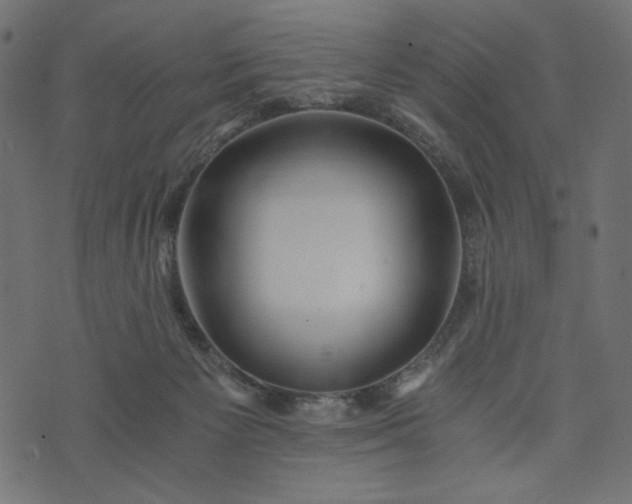 X0000073700125200608171123