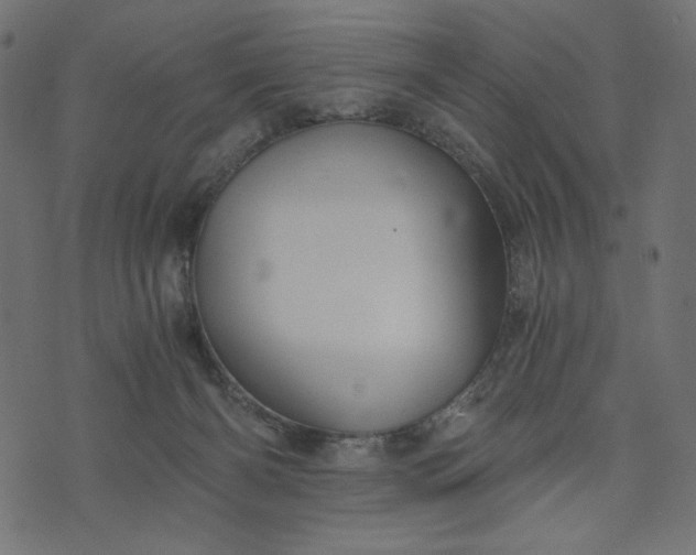 X0000073700126200608171123