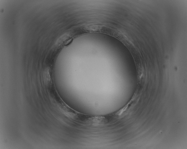 X0000073700128200608171123