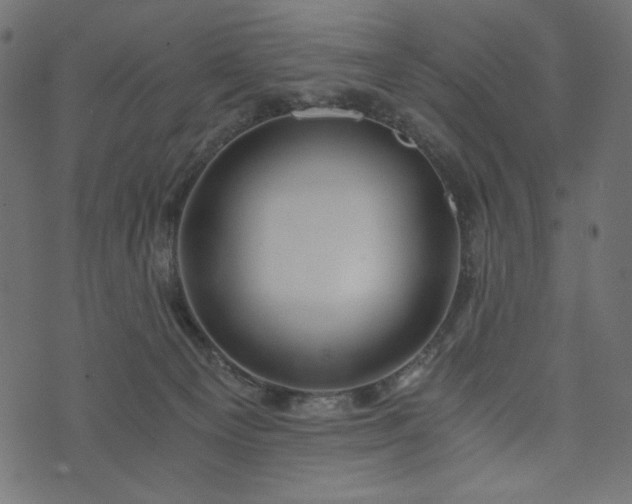 X0000073700129200608171123