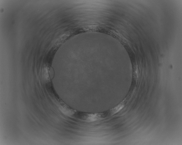 X0000073700130200608171122