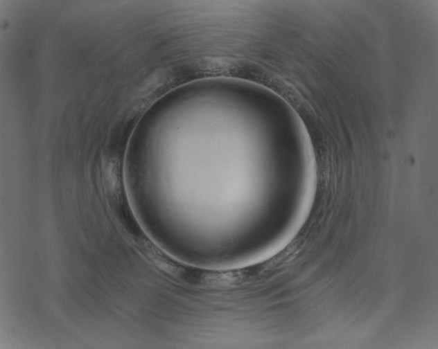 X0000073700131200608171122