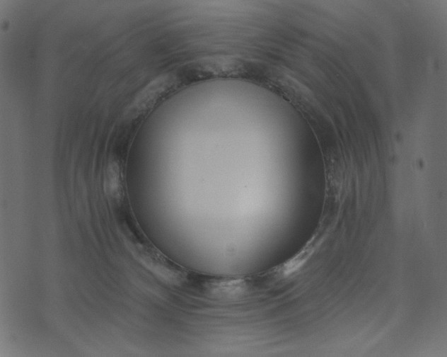 X0000073700132200608171122