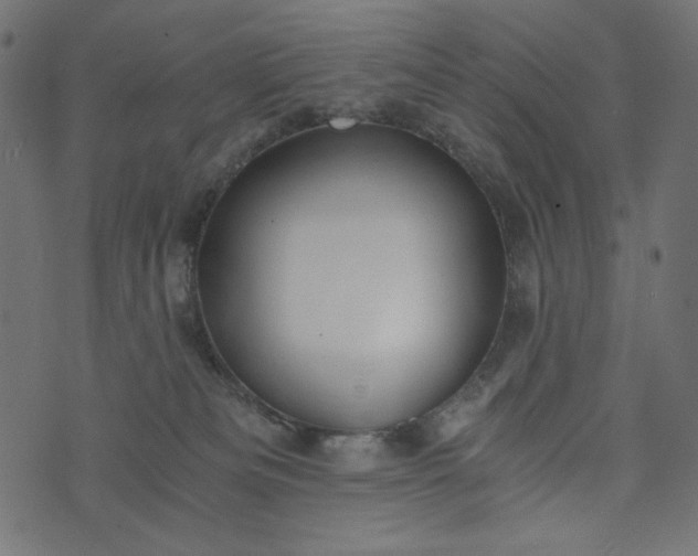 X0000073700133200608171122