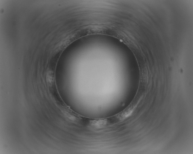 X0000073700135200608171122