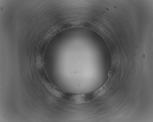 X0000073700136200608171122