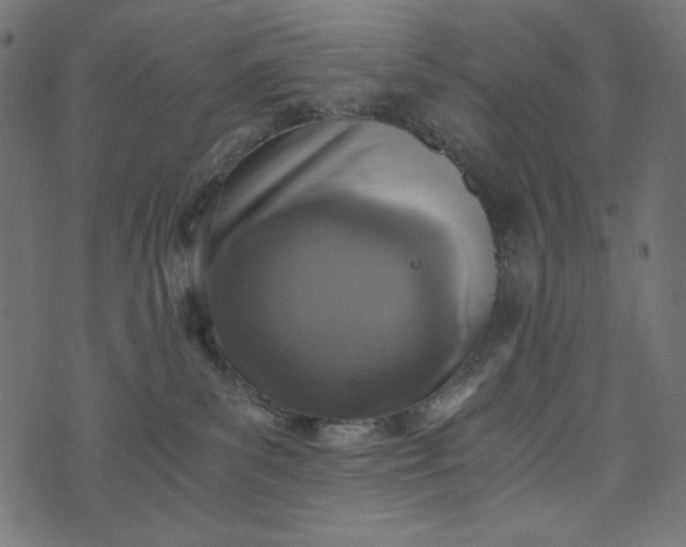 X0000073700139200608171122