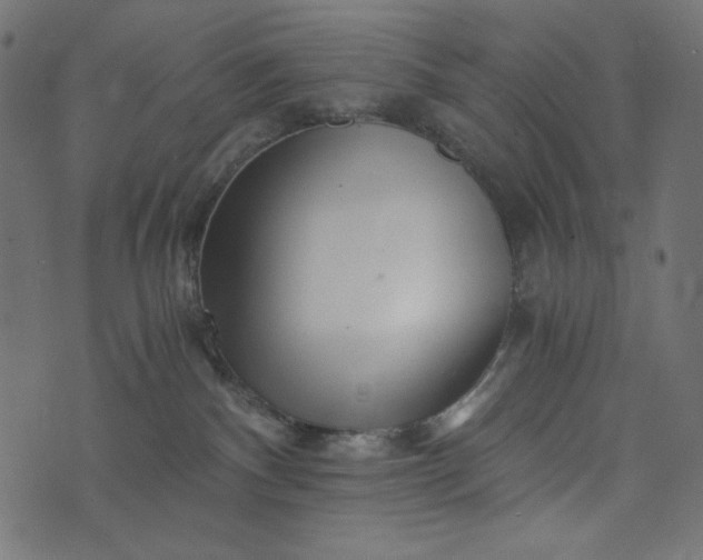 X0000073700140200608171122