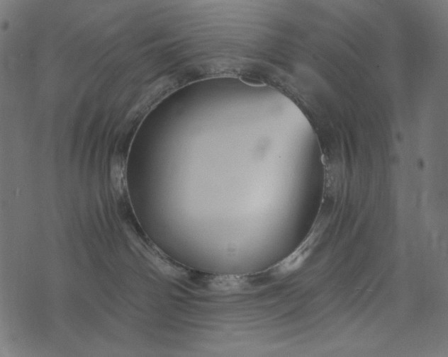 X0000073700142200608171122