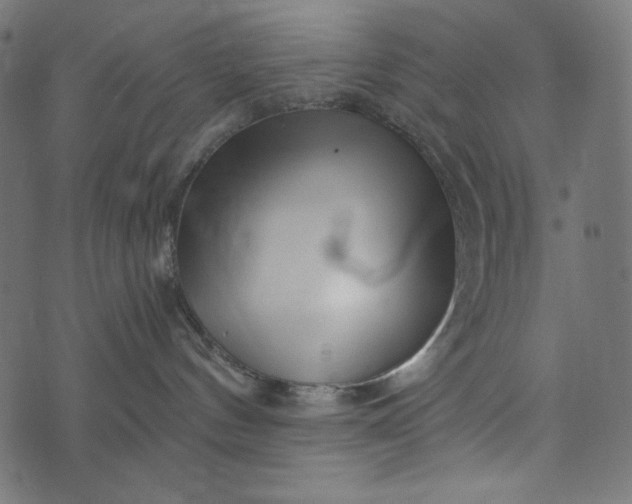 X0000073700144200608171122