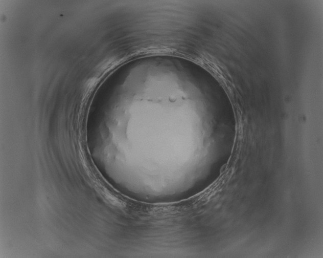 X0000073700145200608171121