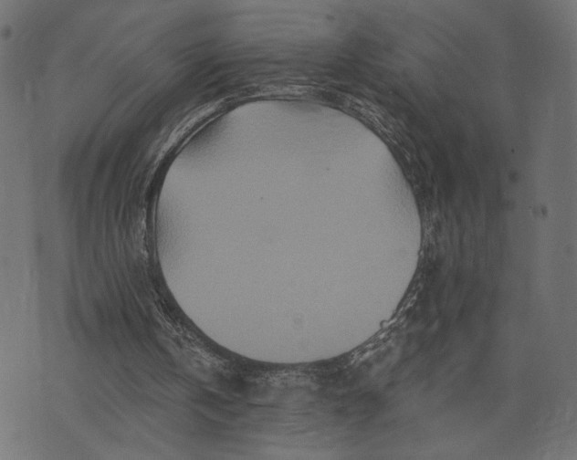 X0000073700146200608171122