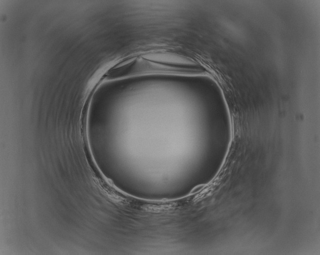 X0000073700147200608171122