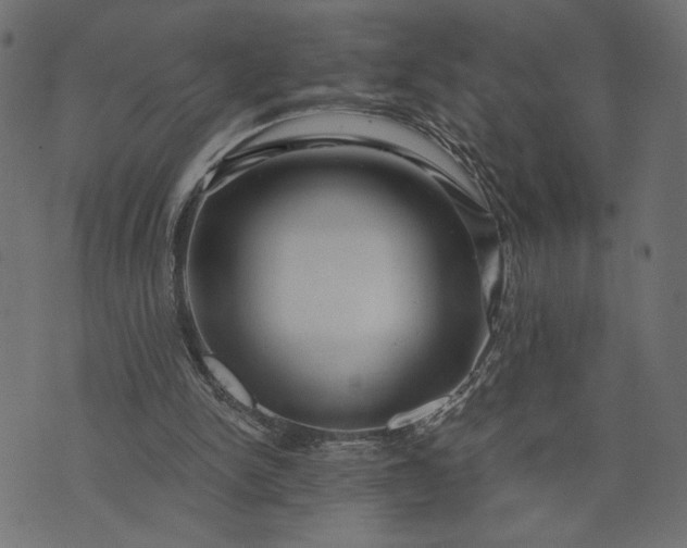 X0000073700150200608171122