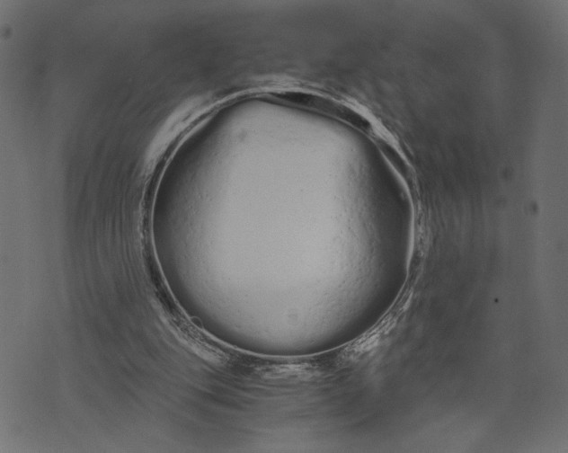 X0000073700151200608171122