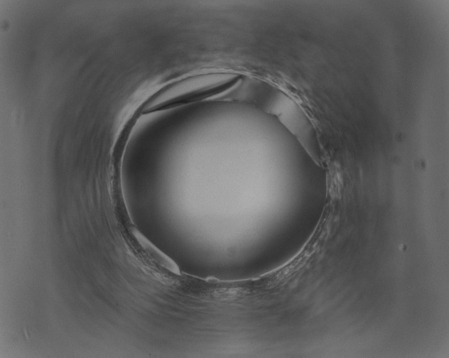 X0000073700152200608171122