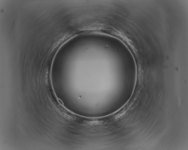 X0000073700153200608171122