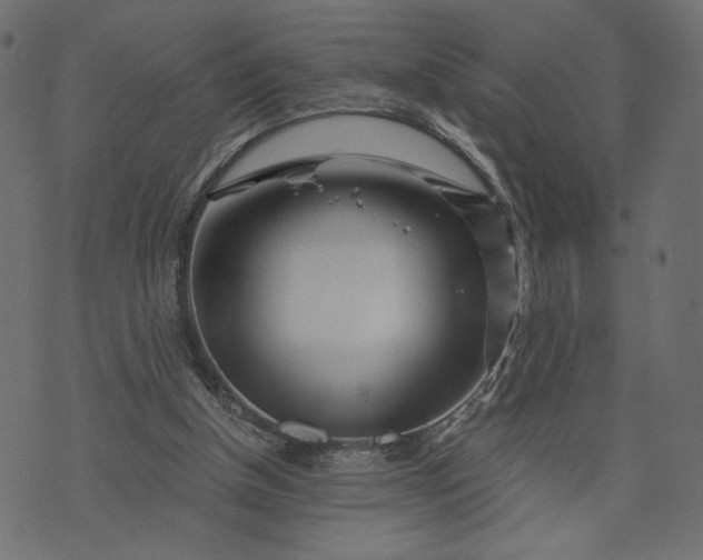 X0000073700154200608171122