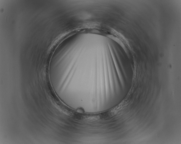 X0000073700155200608171122