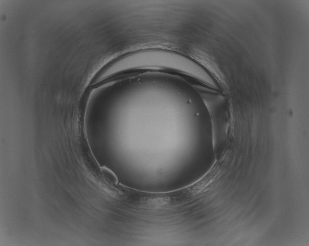 X0000073700156200608171122