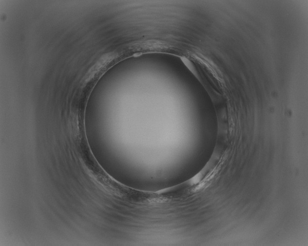 X0000073700158200608171122