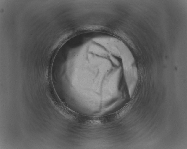 X0000073700159200608171122