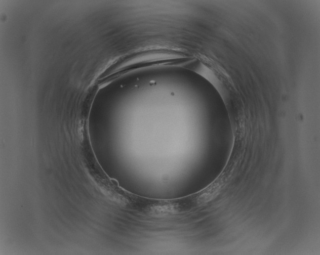 X0000073700160200608171122