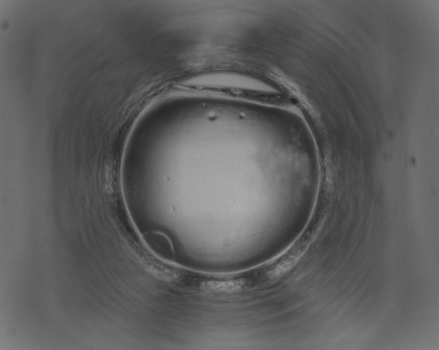 X0000073700161200608171122