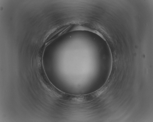 X0000073700164200608171122