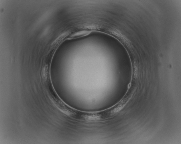 X0000073700165200608171122