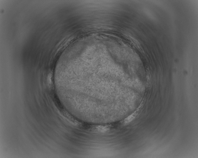 X0000073700166200608171122