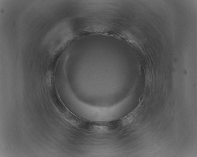 X0000073700167200608171122